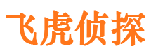 石峰市调查公司